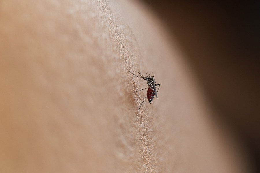 Virus zabrinuo stručnjake: Da smo ovo rekli pre 20 godina...