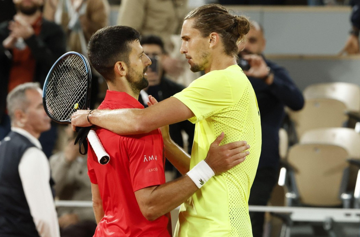 Small Cat vs Big Dog