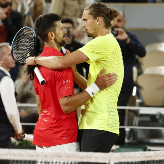 Small Cat vs Big Dog