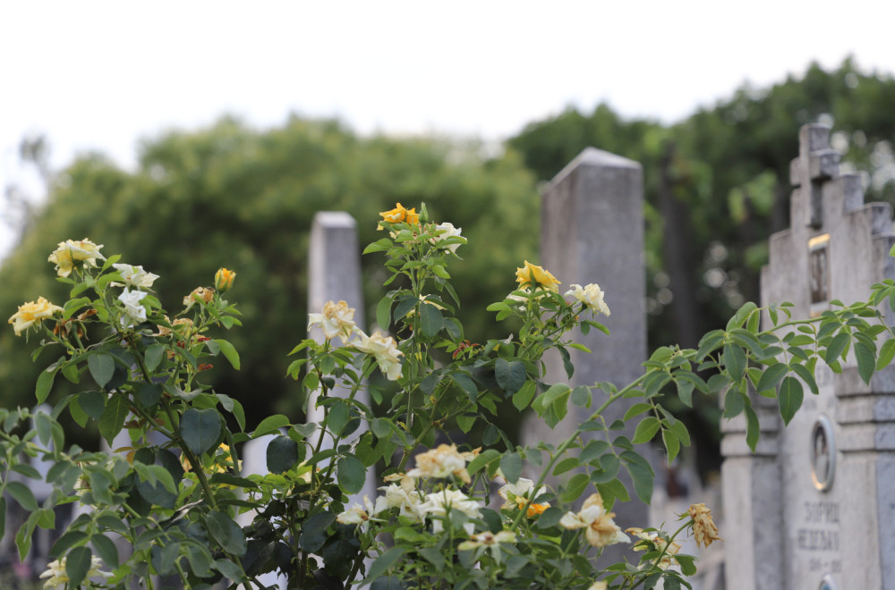 Važno obaveštenje za posetioce groblja za Zadušnice VIDEO