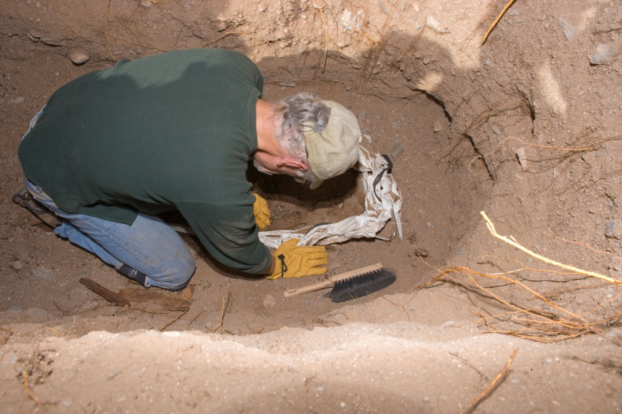 Naučnici otkrili tajne Slovena: Geni konačno pokazali odakle su došli Hrvati