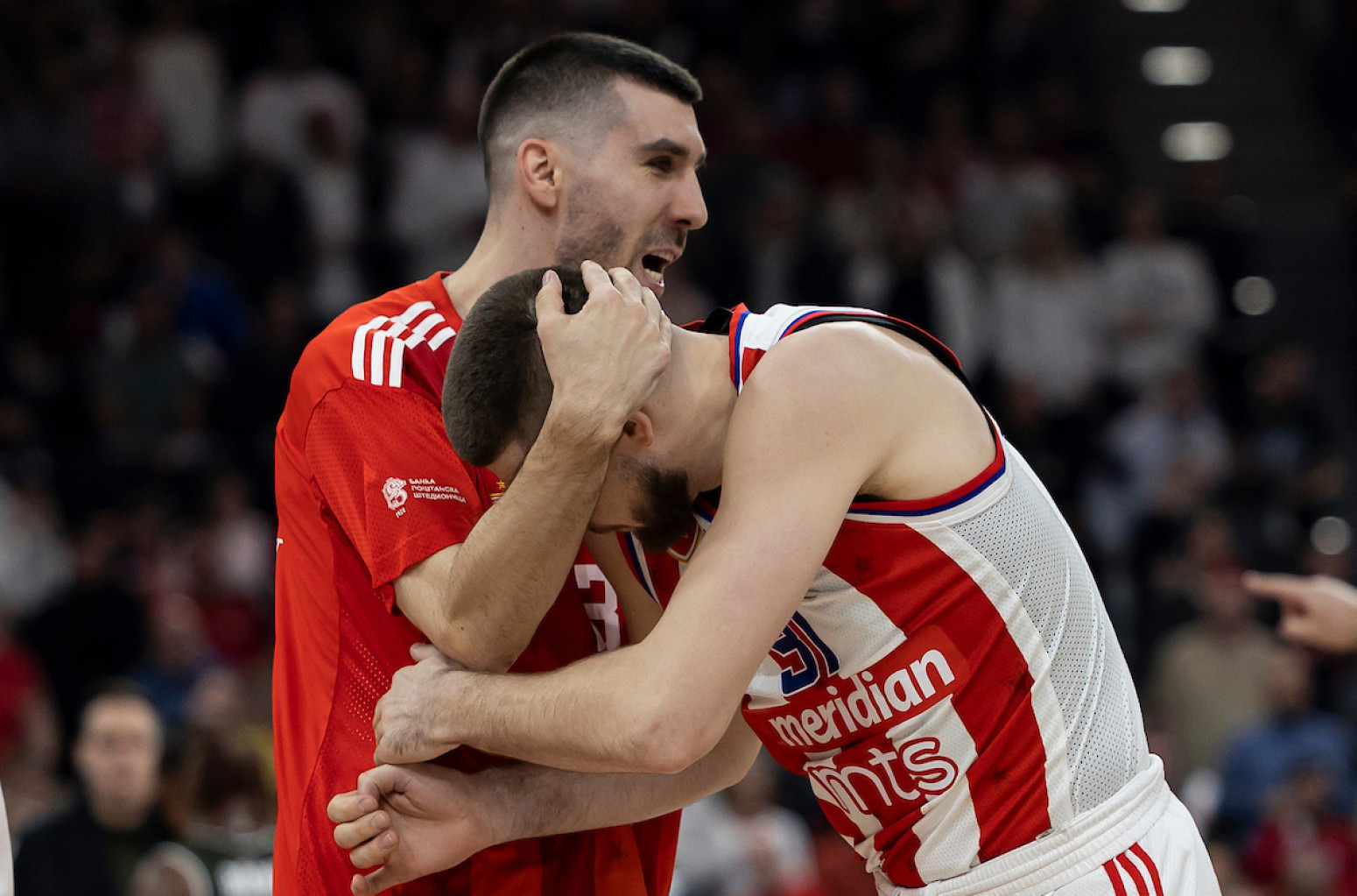 Kapiten Zvezde o debaklu Srbije i novom timu: "Nadam se da će biti kako su oni zamislili"