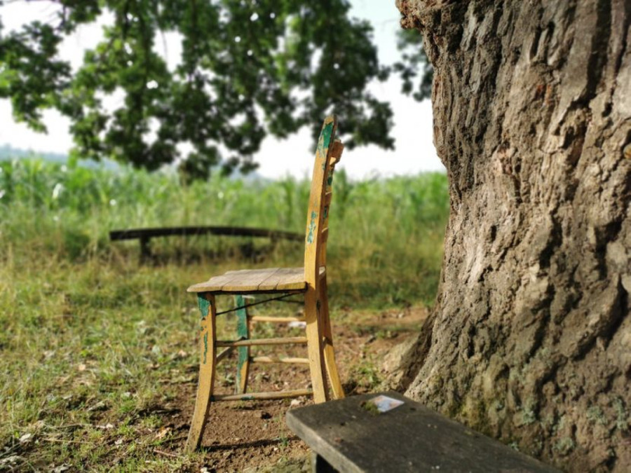 Magični hrast u Srbiji obilaze ljudi sa svih strana: Odlaze preporođeni FOTO