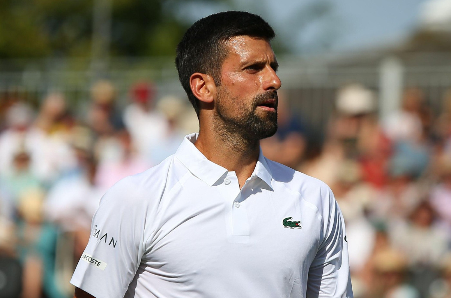 Đoković na Vimbldonu – dosta nepoznanica pre Sinera i Alkarasa