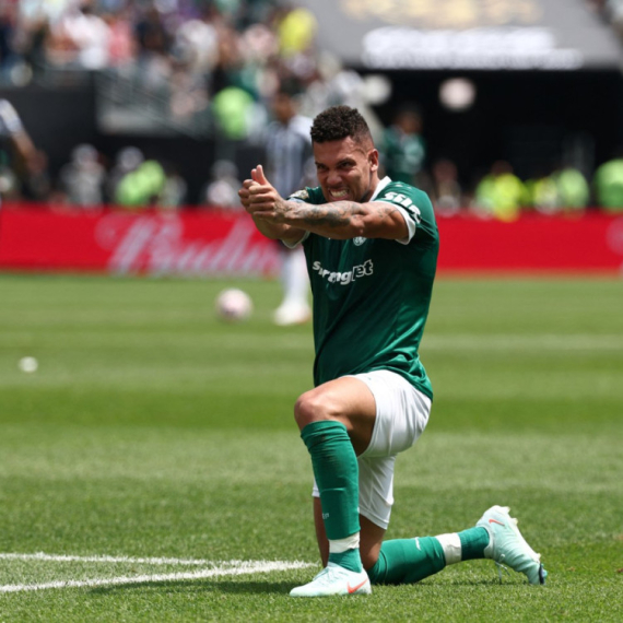 Palmeiras "nokautirao" Botafogo!