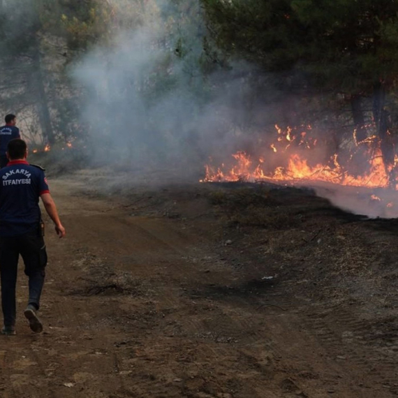 Požar se približava odmaralištima; Građani upućeni u sigurne zone FOTO/VIDEO