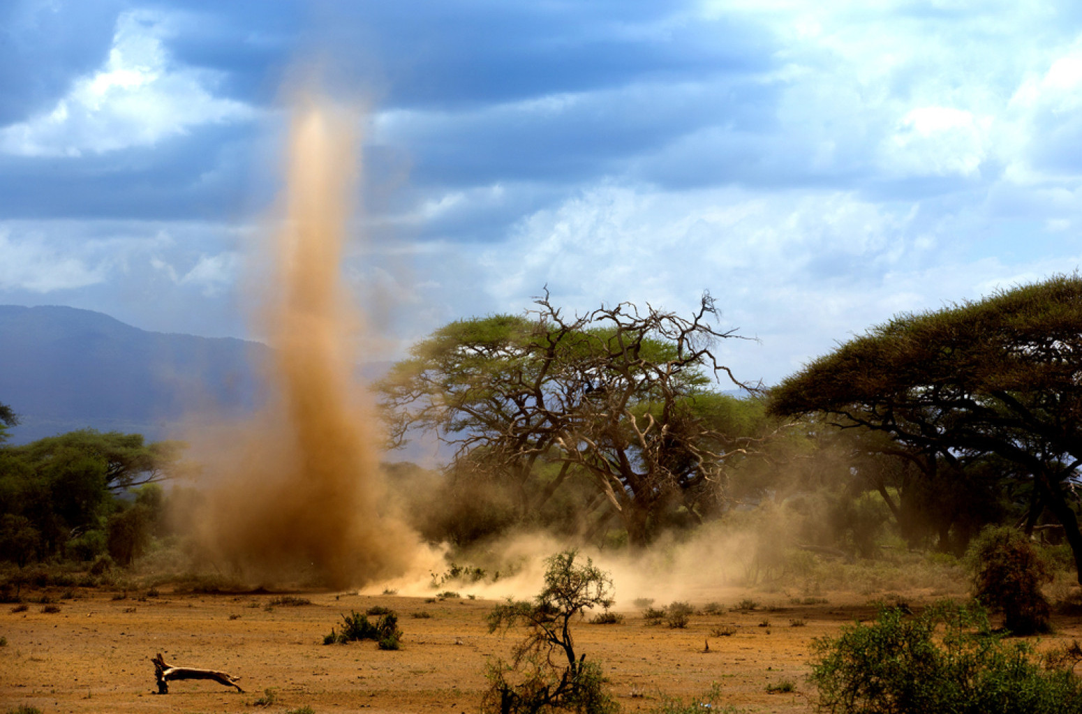 "Pustinjski đavo" na granici sa Srbijom: "Vrtlog je bio visok 50 metara" VIDEO