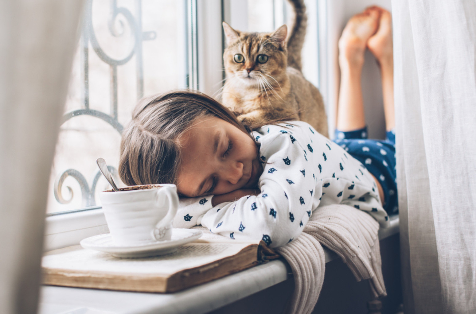 Mačke su kao tinejdžeri: Čuju vas, ali ne reaguju; Evo zbog čega VIDEO