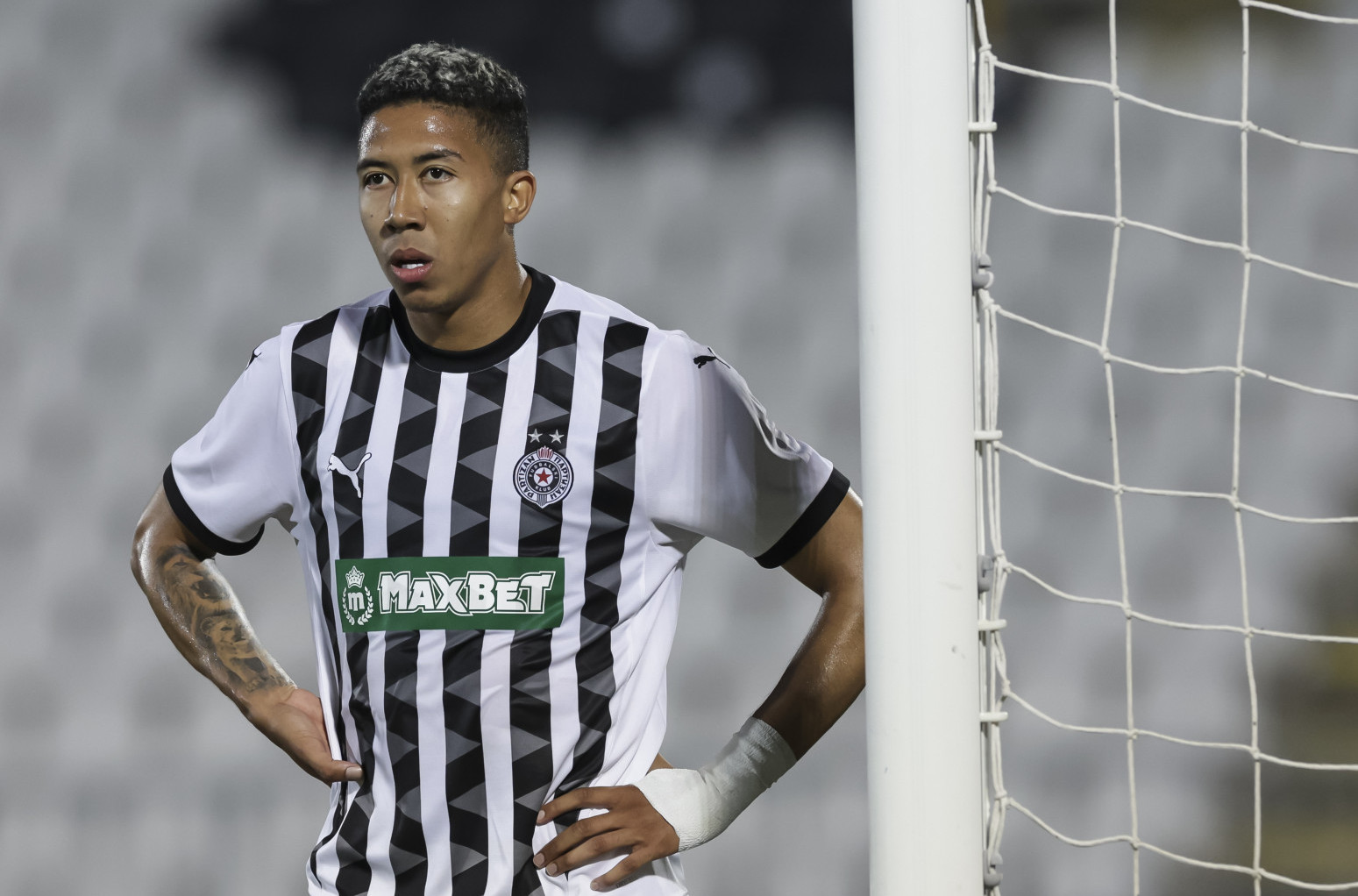 Mateus Saldanja dostupan na tržištu