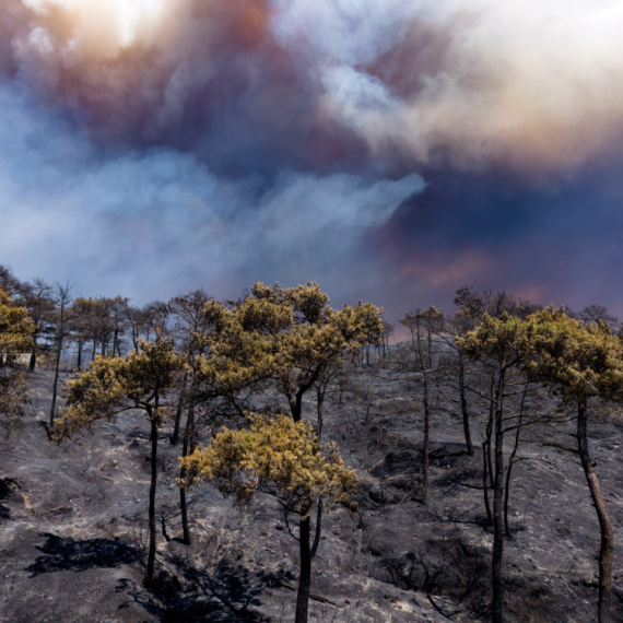 Bitka sa vatrenom stihijom u Siriji: Mine i vetrovi otežavaju gašenje FOTO