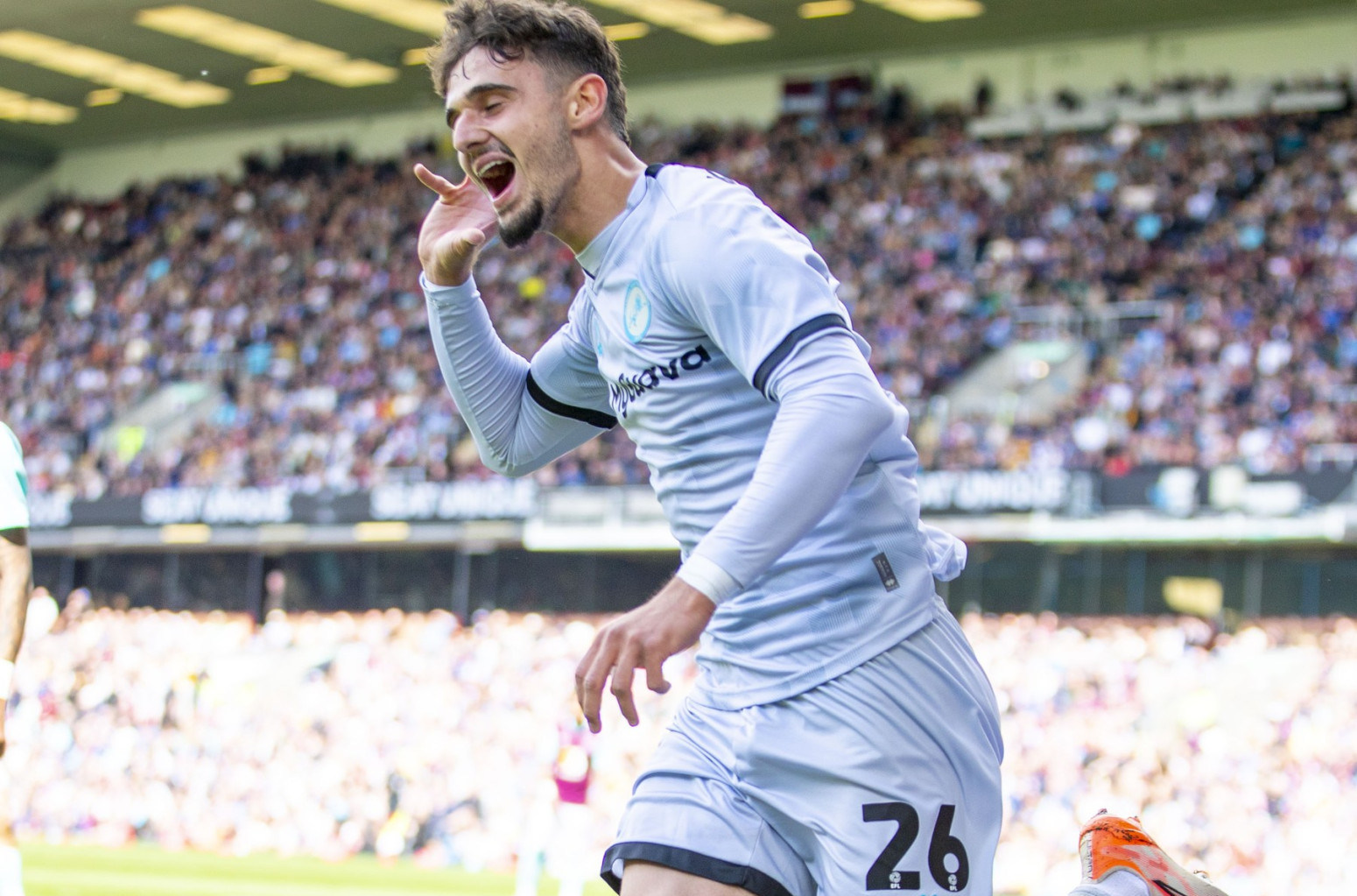 Parma želi Mihaila Ivanovića