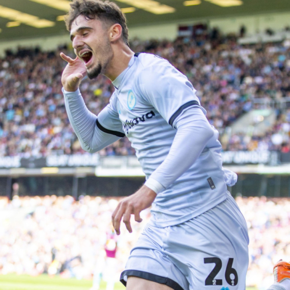 Parma želi Mihaila Ivanovića