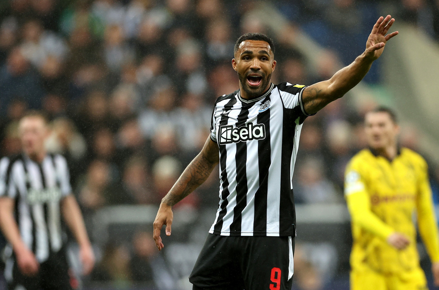 Vilson napustio "svrake"