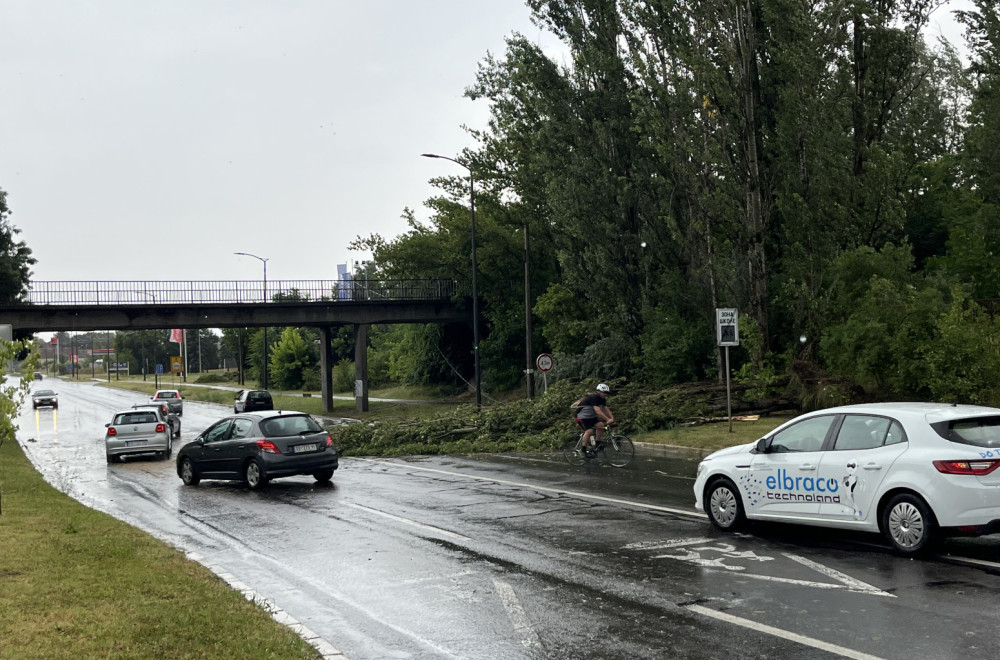 Olujno nevreme u Srbiji: Izdato hitno upozorenje; Vetar čupa drveće FOTO/VIDEO