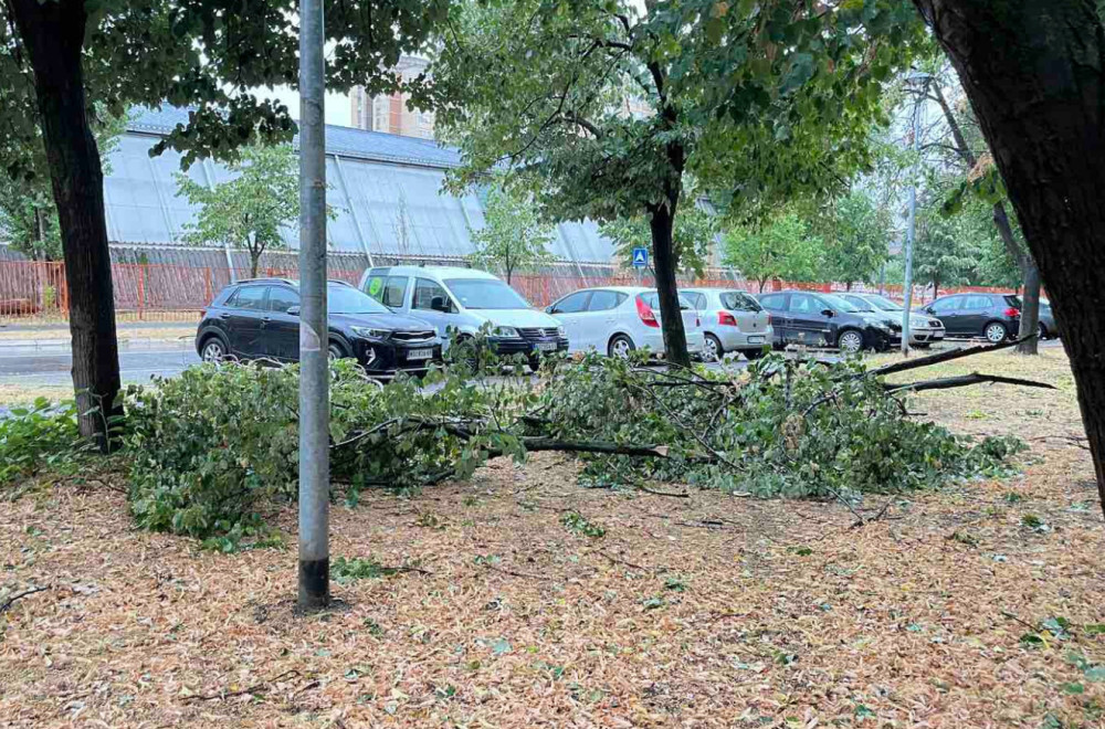 Ovo su najstrašniji prizori iz Požarevca: Grad razoren nakon oluje FOTO/VIDEO