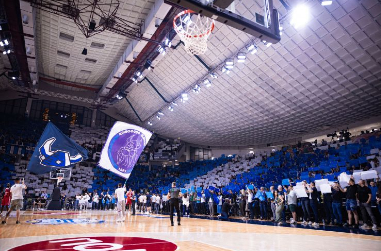 Budućnost na Alimpijevića, COL sa Hapoelom