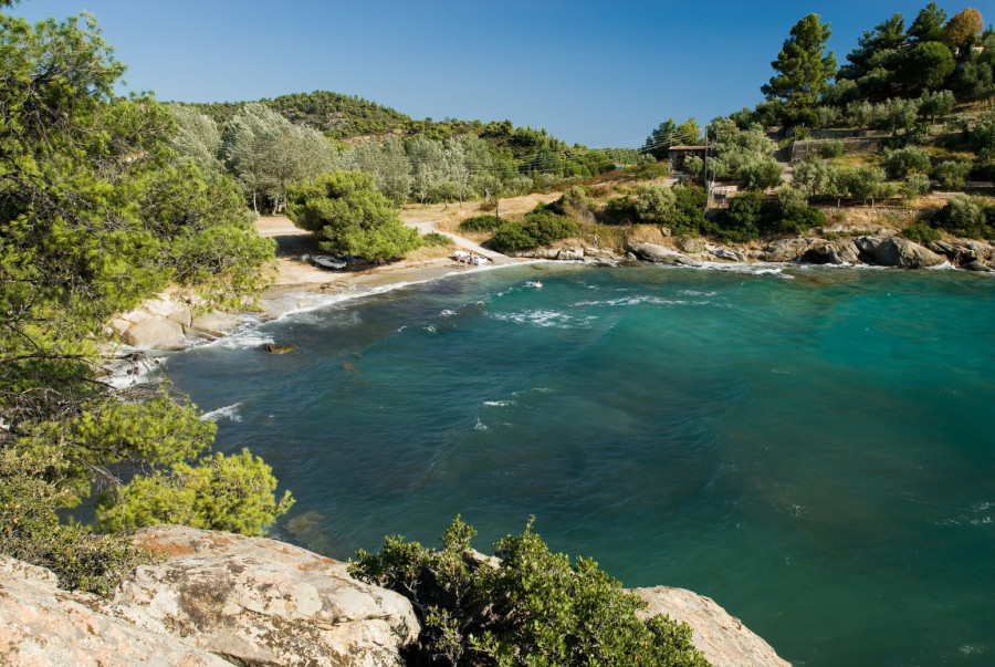 Grci obožavaju ovu plažu na Sitoniji: Raj na zemlji sa prirodnim hladom i mirisom borova FOTO