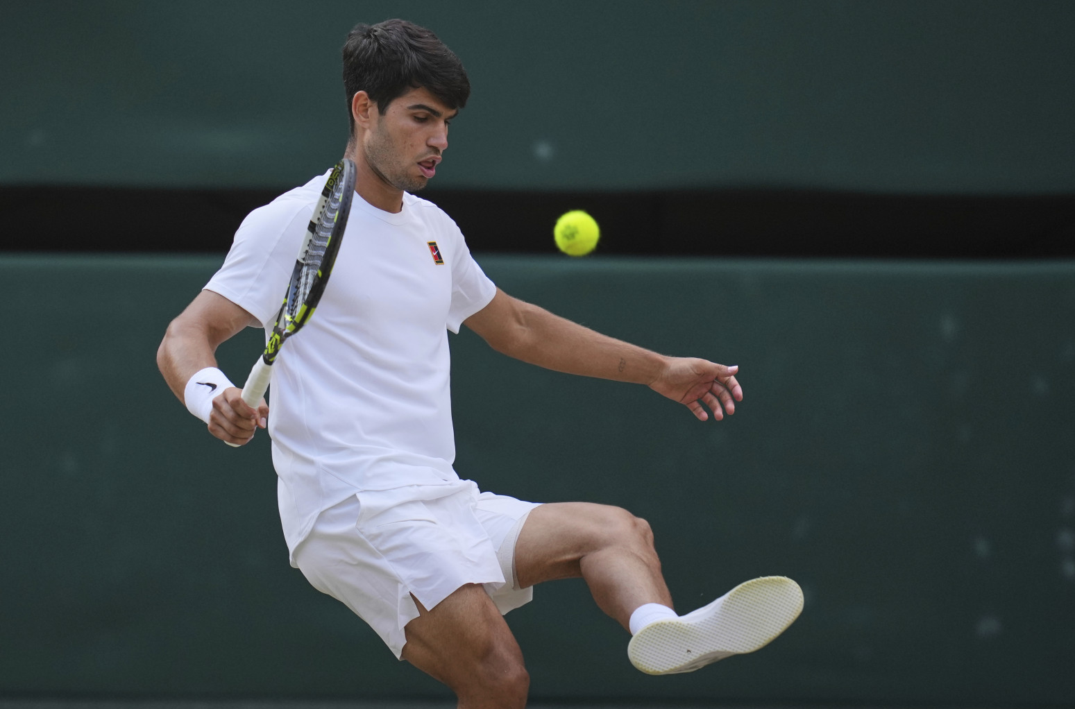 Ko šta radi, Alkaras... VIDEO