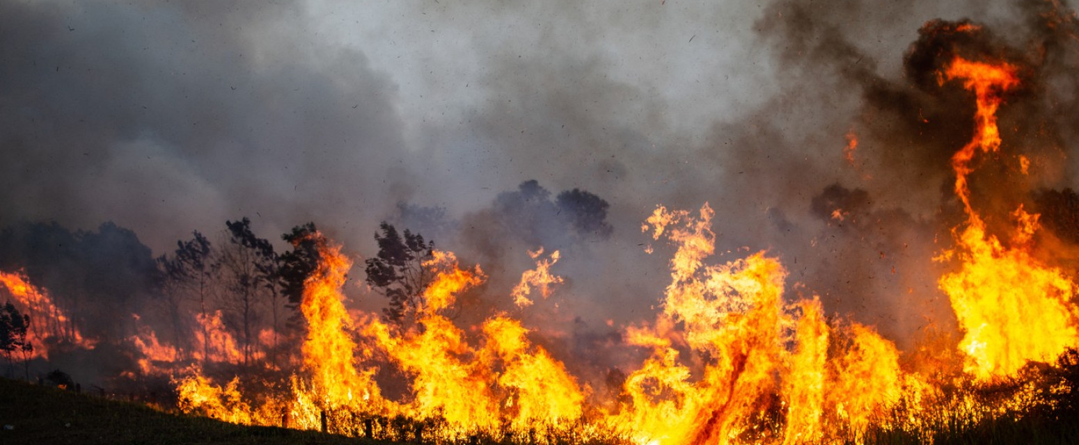Vanredno stanje u Albaniji: Turisti evakuisani na jugu zemlje zbog požara FOTO/VIDEO