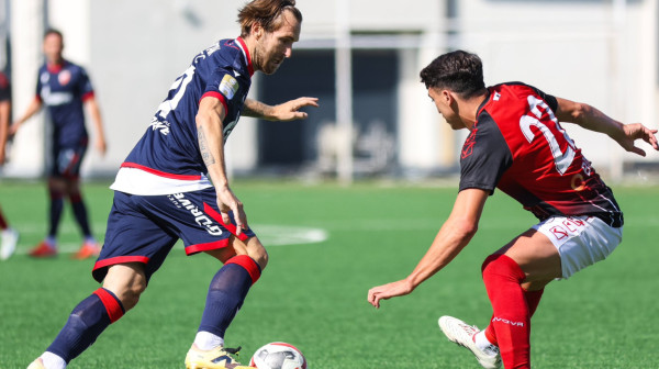 Javio se VARCheck zbog Zvezdinog gola: "Jako specifična situacija" FOTO