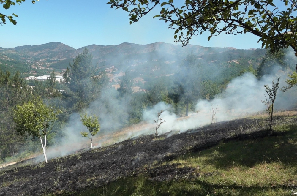 Haos kod Čačka: Jedno lice teško povređeno; Vatra progutala voćnjak