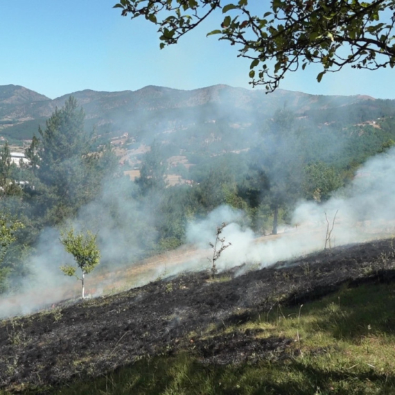 Haos kod Čačka: Jedno lice teško povređeno; Vatra progutala voćnjak