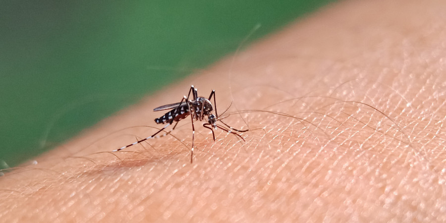 Pridržavajte se mera: Opasan virus u Srbiji, sve više zaraženih