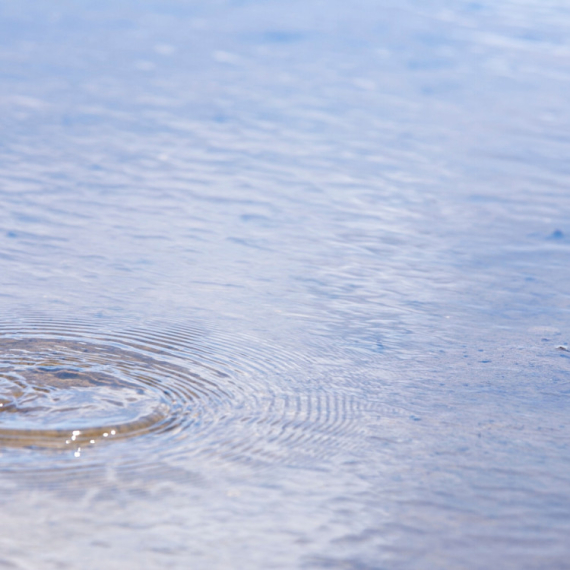 Šumadijsko more: Jedinstveno jezero u Srbiji sa 17 vrsta riba VIDEO