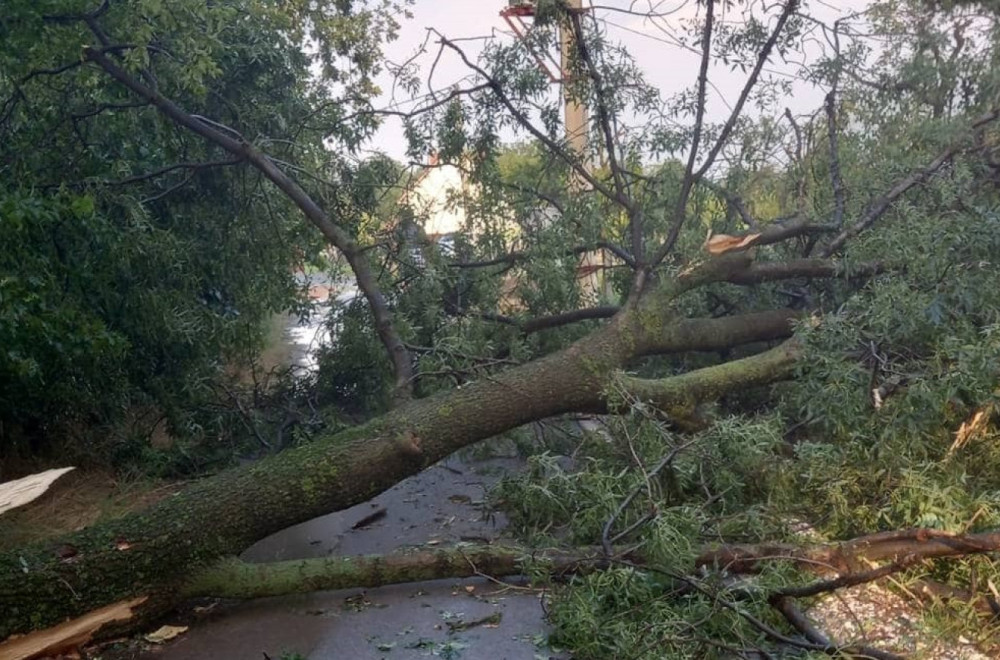 Jaka oluja pogodila Čačak: Vetar čupao drveće iz korena