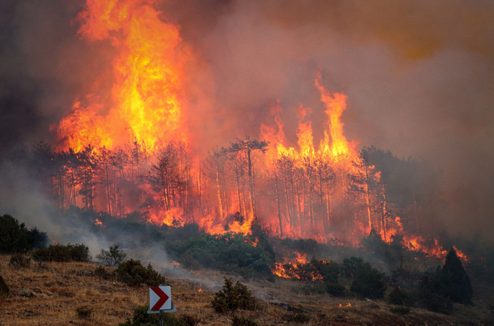 Izmereno 50,5 stepeni: Požari i evakuacije širom zemlje FOTO
