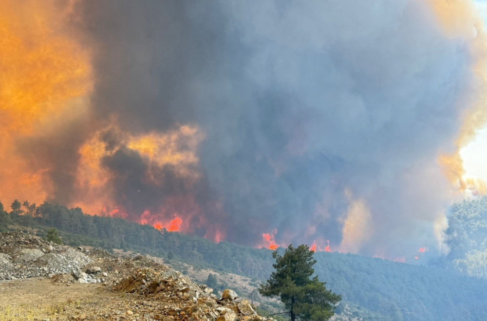 Izmereno 50,5 stepeni: Požari i evakuacije širom zemlje FOTO