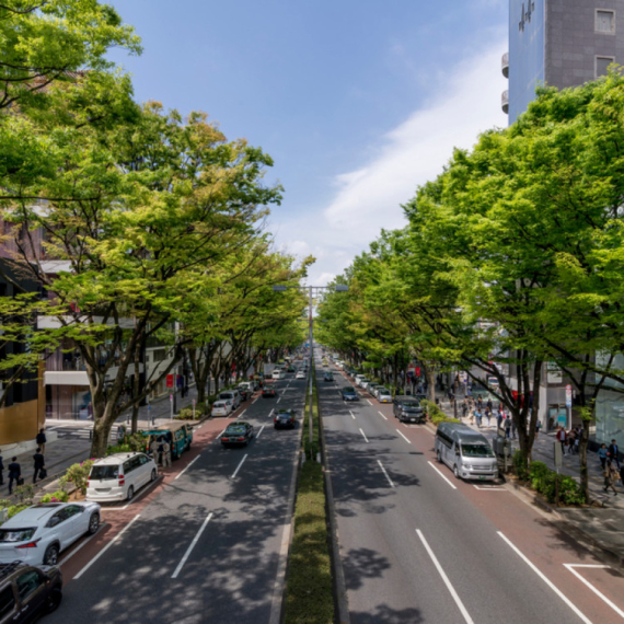 Ozelenjavanja centra Niša: Plato kod Lutkarskog pozorišta dobija drvored