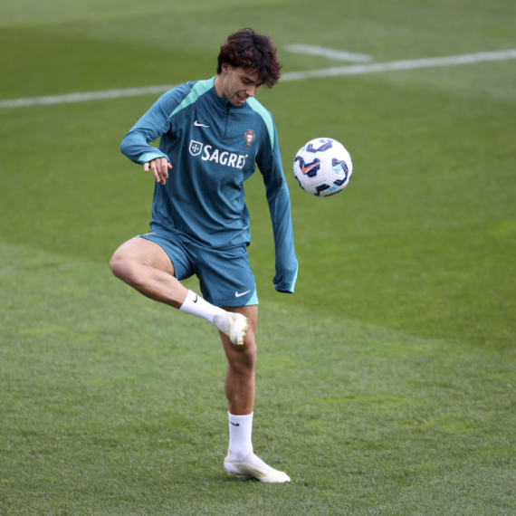 Pad Žoaa Feliksa – vrsta koja je izumrla VIDEO