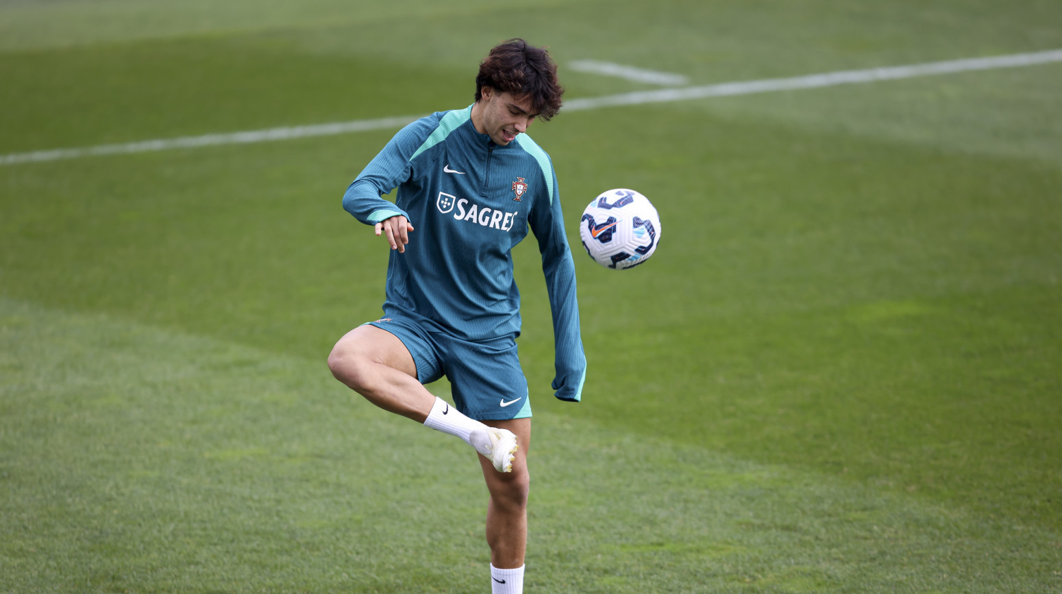 Pad Žoaa Feliksa – vrsta koja je izumrla VIDEO