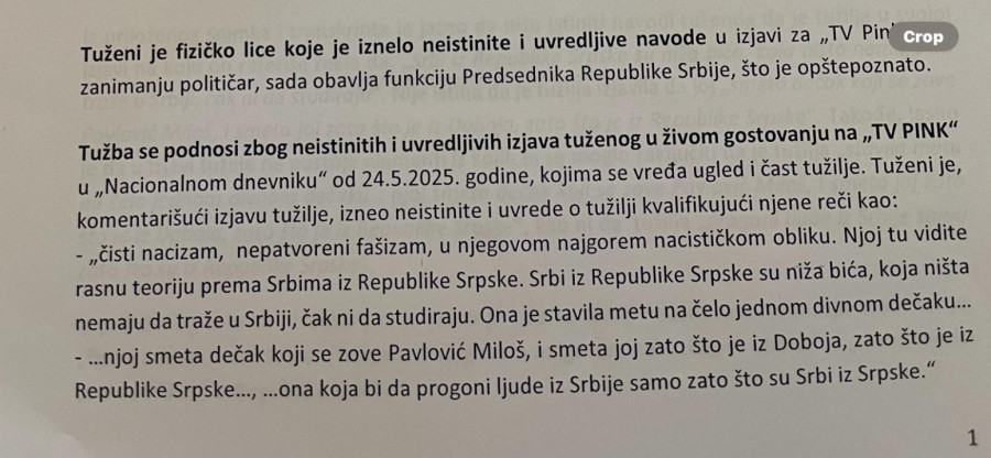 Nataša Kandić tužila Aleksandra Vučića FOTO