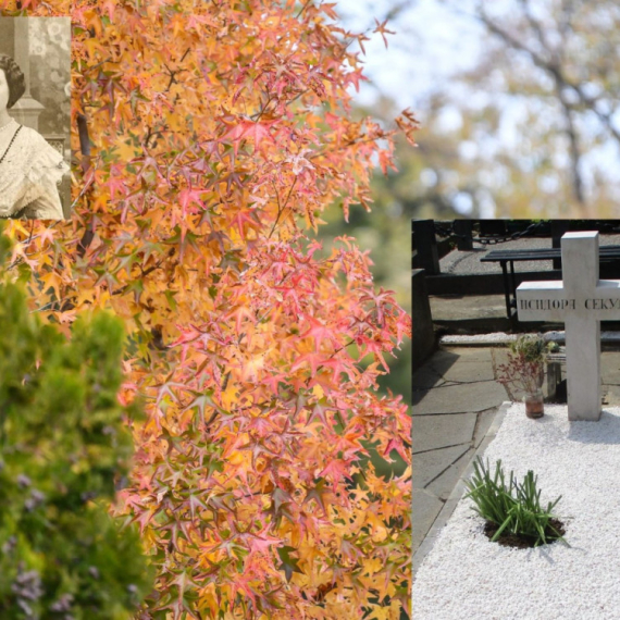 Obnovljeno poslednje utočište Isidore Sekulić na Topčiderskom groblju VIDEO