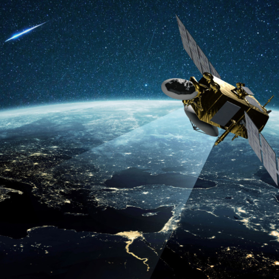 Preživela devet meseci u svemiru, normalno se razmnožavala po povratku