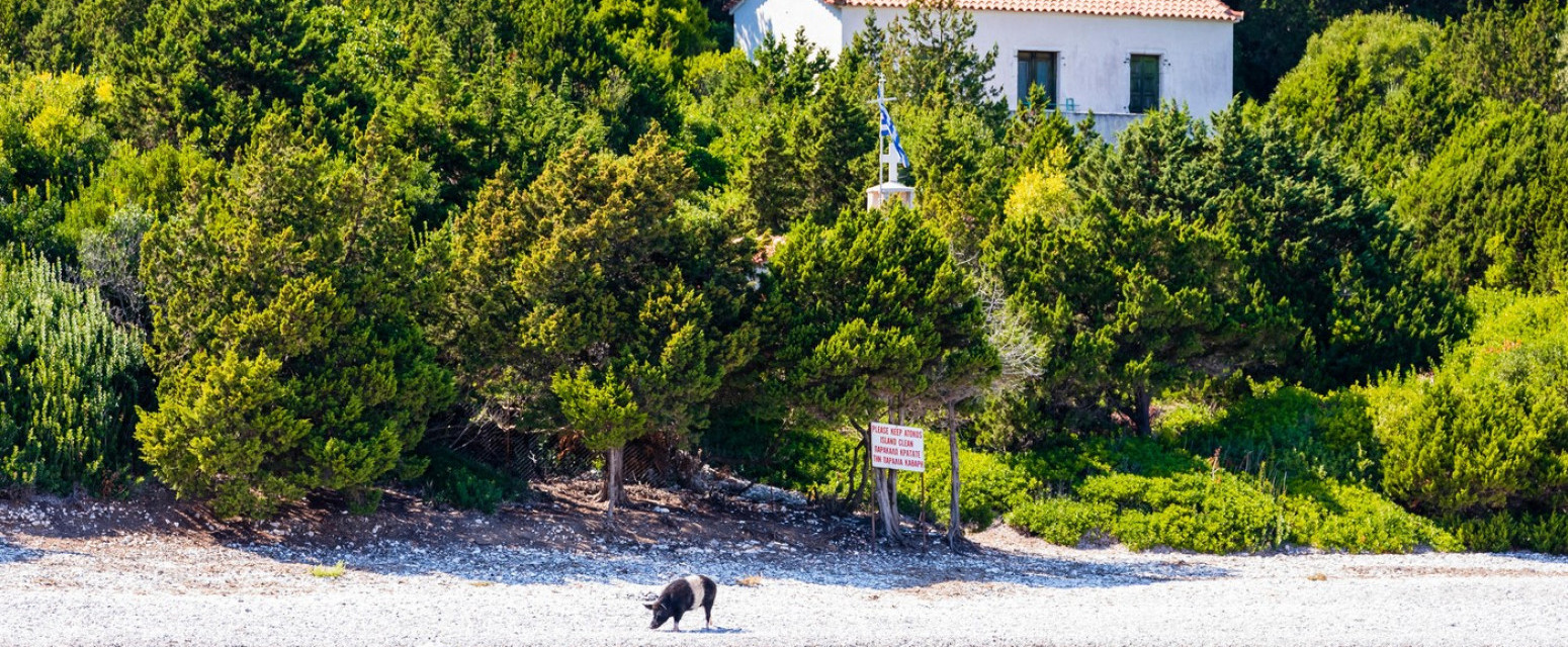 "Morate hitno da izađete, nije bezbedno": Turistkinje doživele šokantnu situaciju u Grčkoj VIDEO