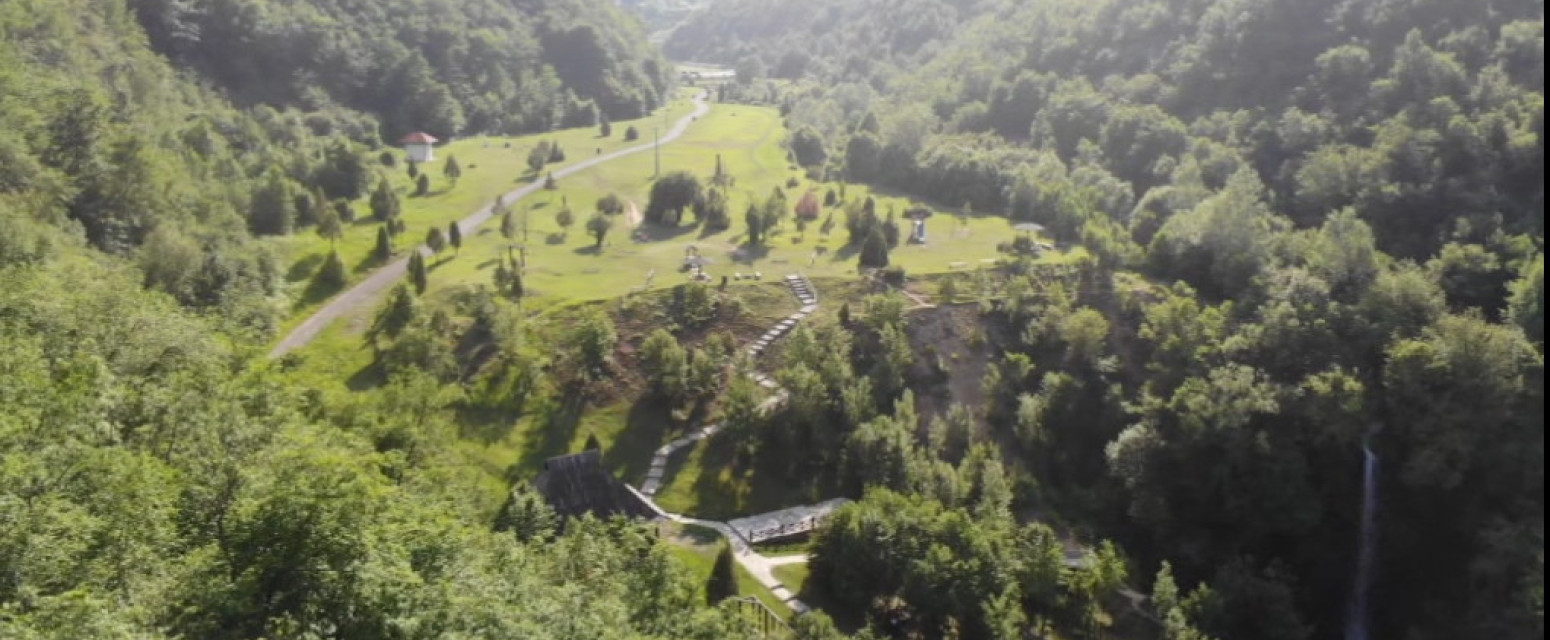 Preko 20 vrsta orhideja raste na ovoj srpskoj planini, a malo ko to zna: Veliko prirodno bogatstvo FOTO