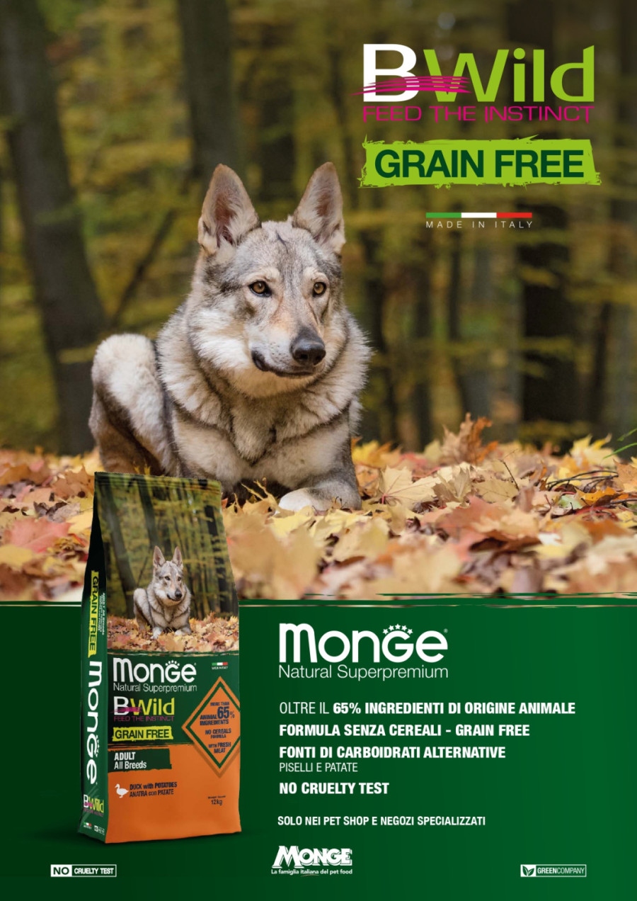 Monge hrana za pse: Superpremium izbor za zdravu ishranu i blistavi sjaj vašeg ljubimca