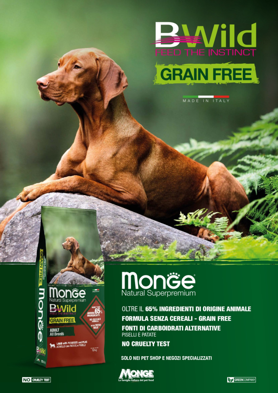 Monge hrana za pse: Superpremium izbor za zdravu ishranu i blistavi sjaj vašeg ljubimca