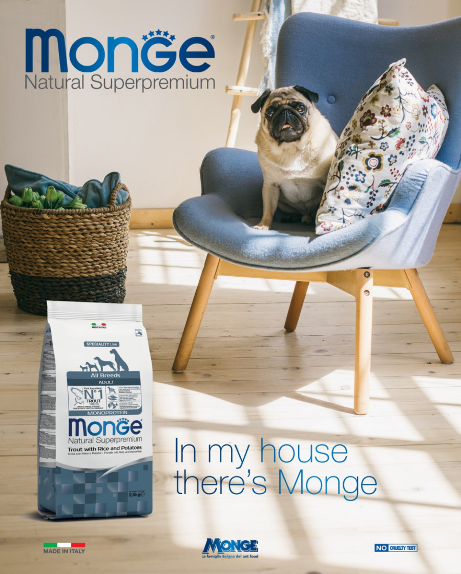 Monge hrana za pse: Superpremium izbor za zdravu ishranu i blistavi sjaj vašeg ljubimca