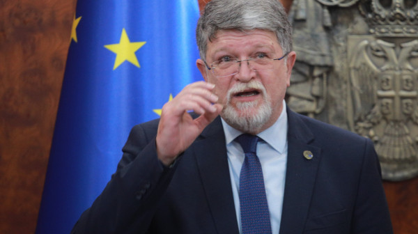 Brnabić: "Svako ko trči da se vidi da Toninom Piculom radi za strateške interese Hrvatske"