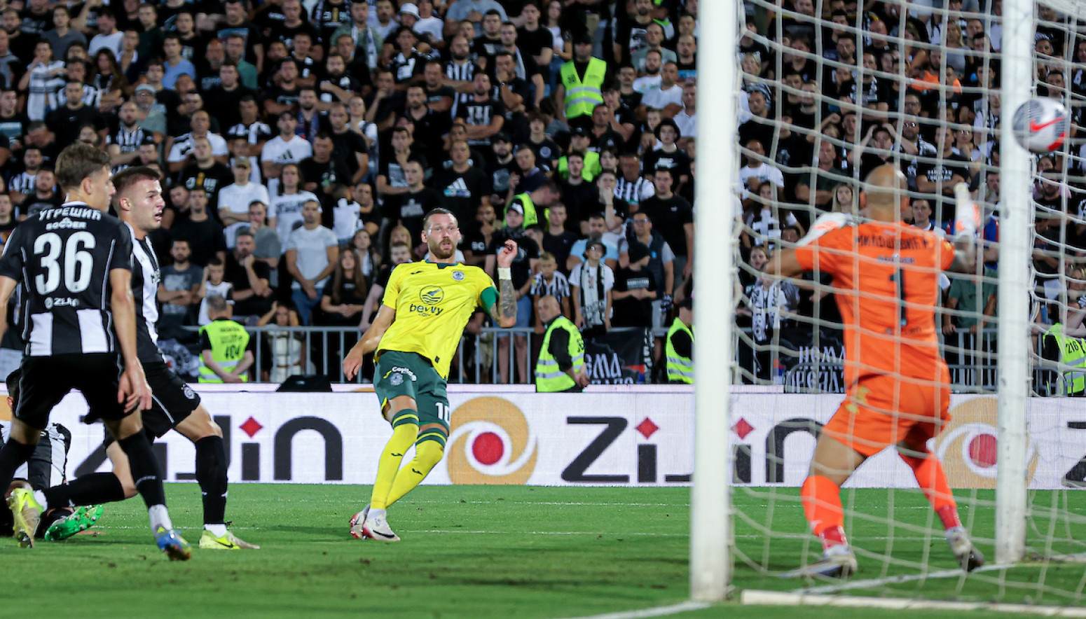 Hibernijan kaznio Partizan!