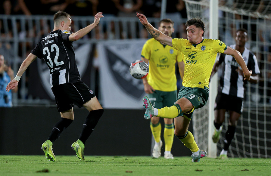 Hibernijan kaznio Partizan!