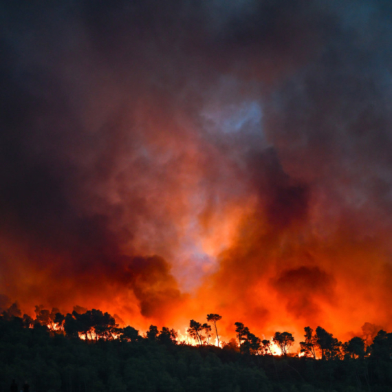 Evropa gori: Ekstremne vrućine i šumski požari obaraju rekorde