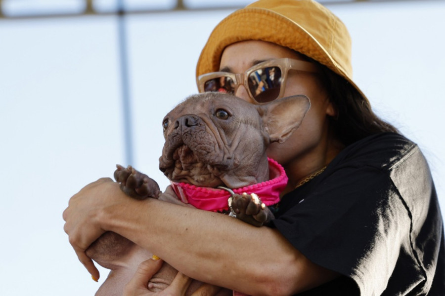 Ovaj pas proglašen je za najružnijeg na svetu FOTO