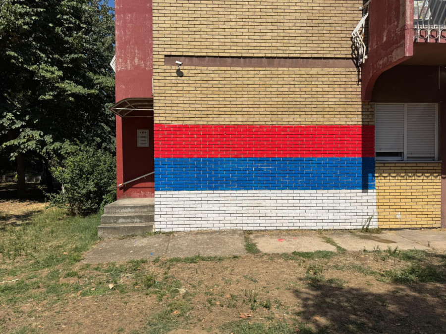 Srpske patriote sa zastavama u Novom Sadu; Građani se pobunili protiv vandalizma na Limanu FOTO/VIDEO