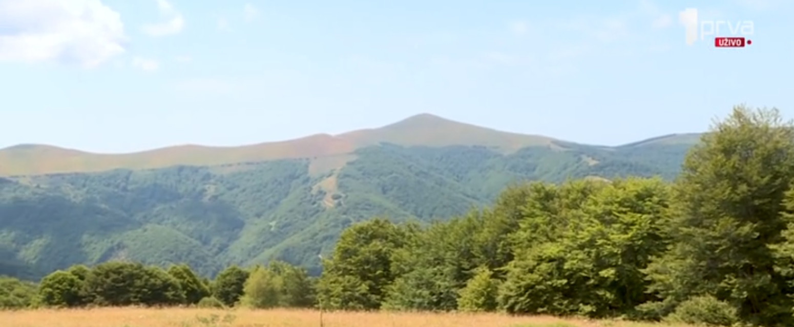 Jedinstvena srpska planina bogata lekovitim biljem: Raj za ljubitelje prirode VIDEO