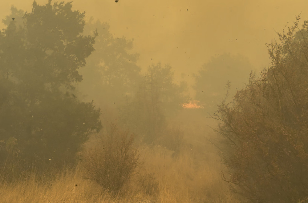Albanac izazvao požar u Buljaricama: Oglasila se policija VIDEO
